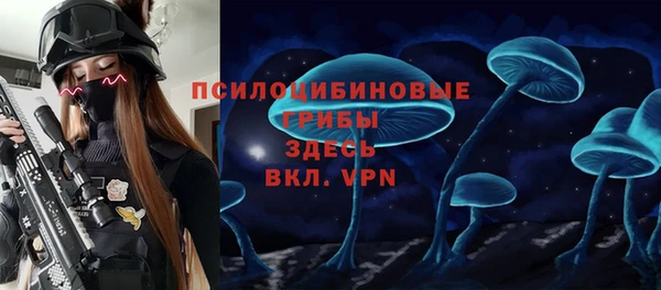 гидра Алексин