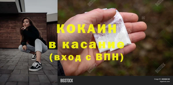 гидра Алексин