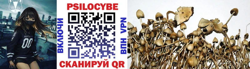 Галлюциногенные грибы мицелий  купить закладку  Куйбышев 